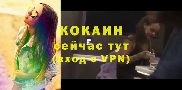 твердый Протвино