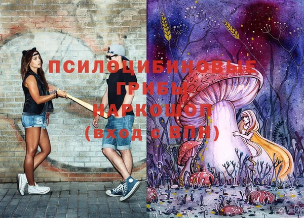 экстази Арсеньев