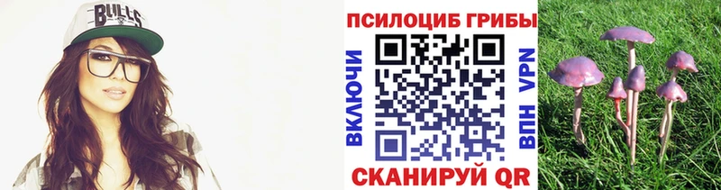закладки  Солигалич  omg сайт  Галлюциногенные грибы прущие грибы 